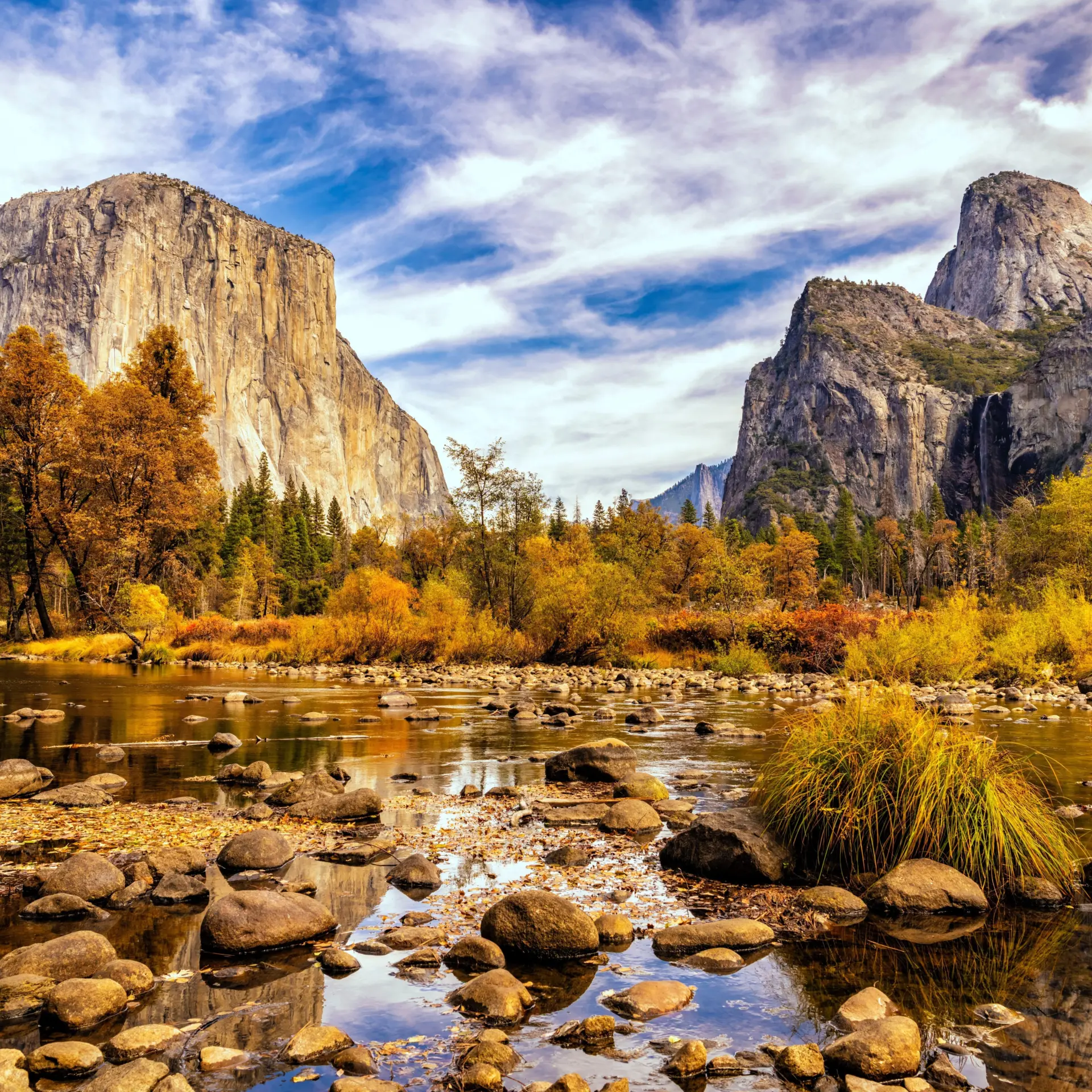 Rakshith hatwar xnfyaabcljk unsplash 1