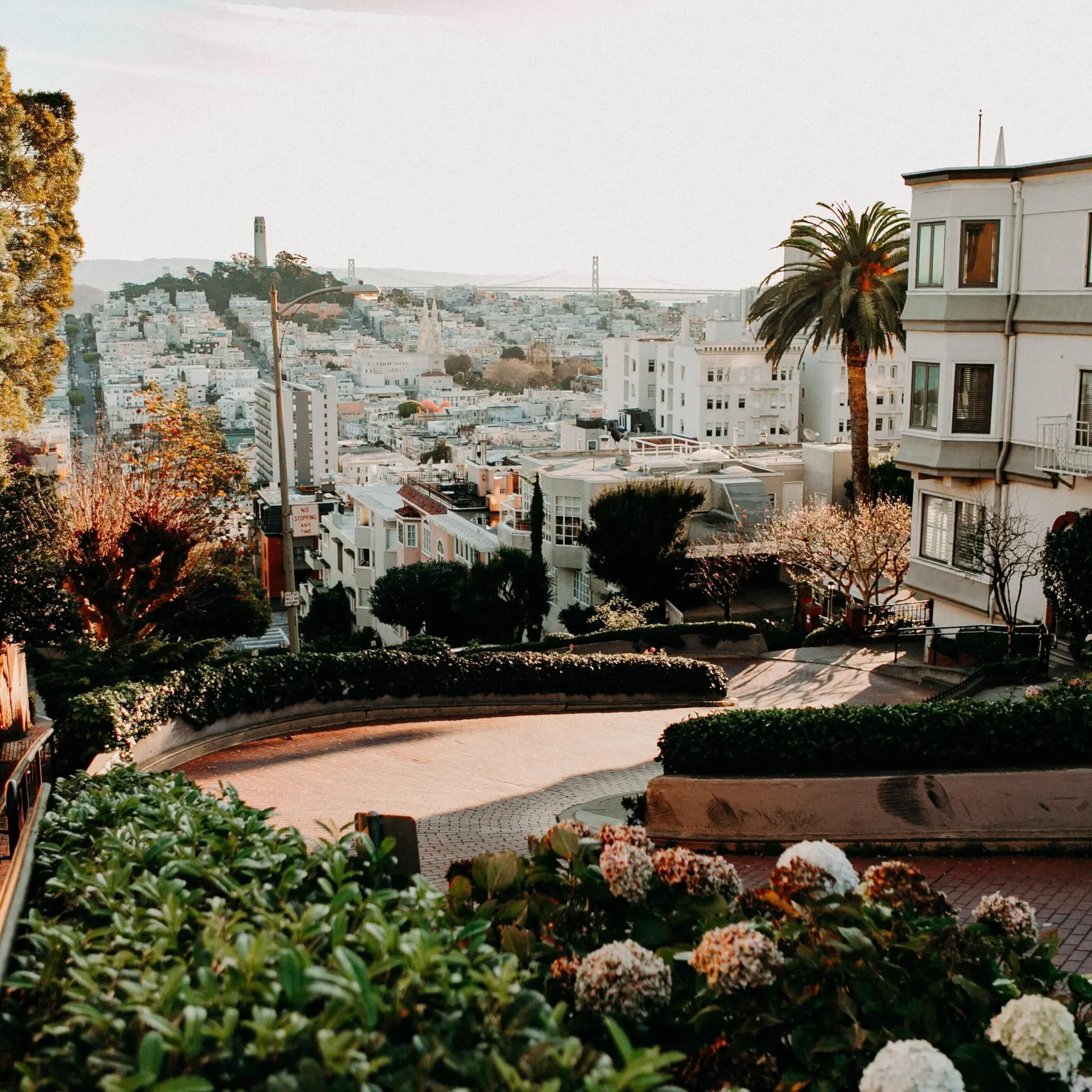 Braden collum aflg5jpmvyg unsplash