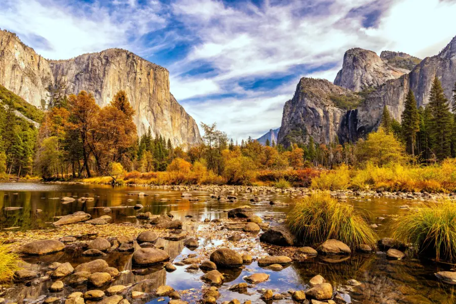 Rakshith hatwar xnfyaabcljk unsplash 1