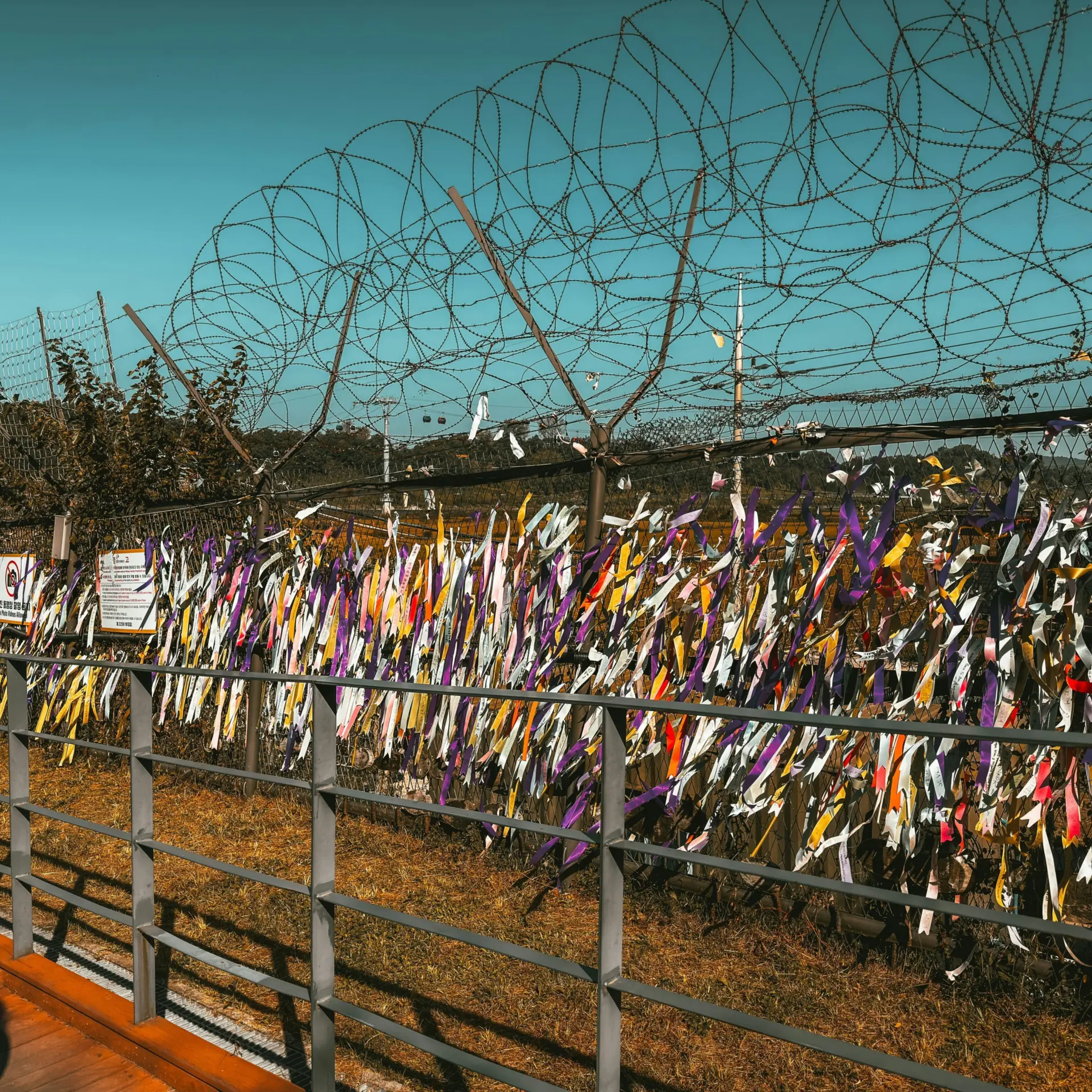 1765356805494christopher pap de pesteny fudcwysxro unsplash