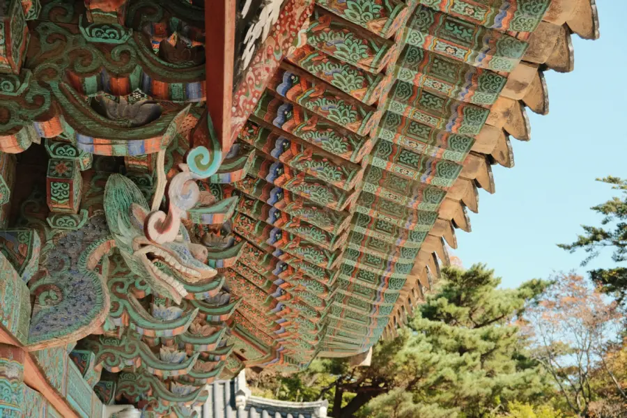 Austin curtis ymvj wspjvc unsplash