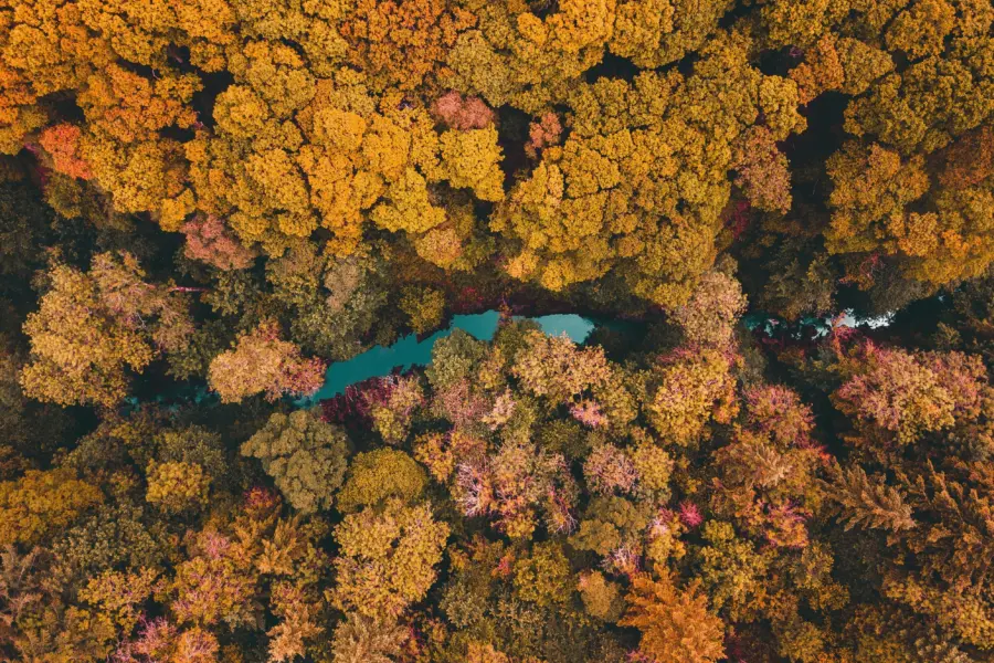 Dan smedley jllp aeb7ou unsplash