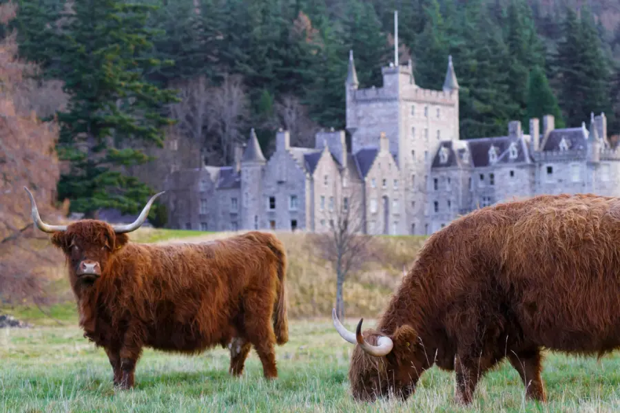 Martin bennie opp9cun ac unsplash1