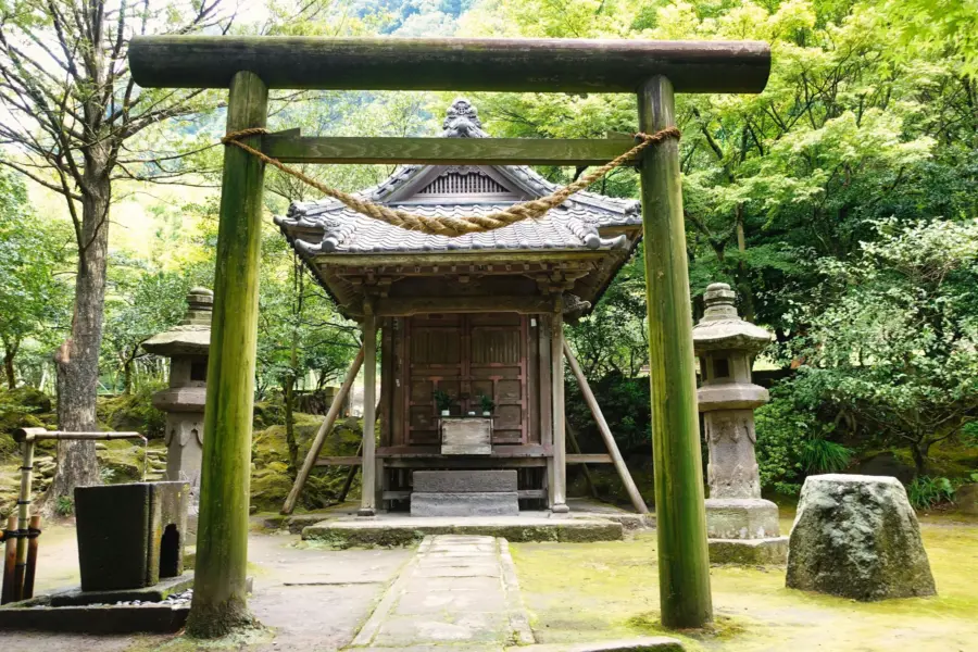 Winged jedi kdagpjhdouu unsplash