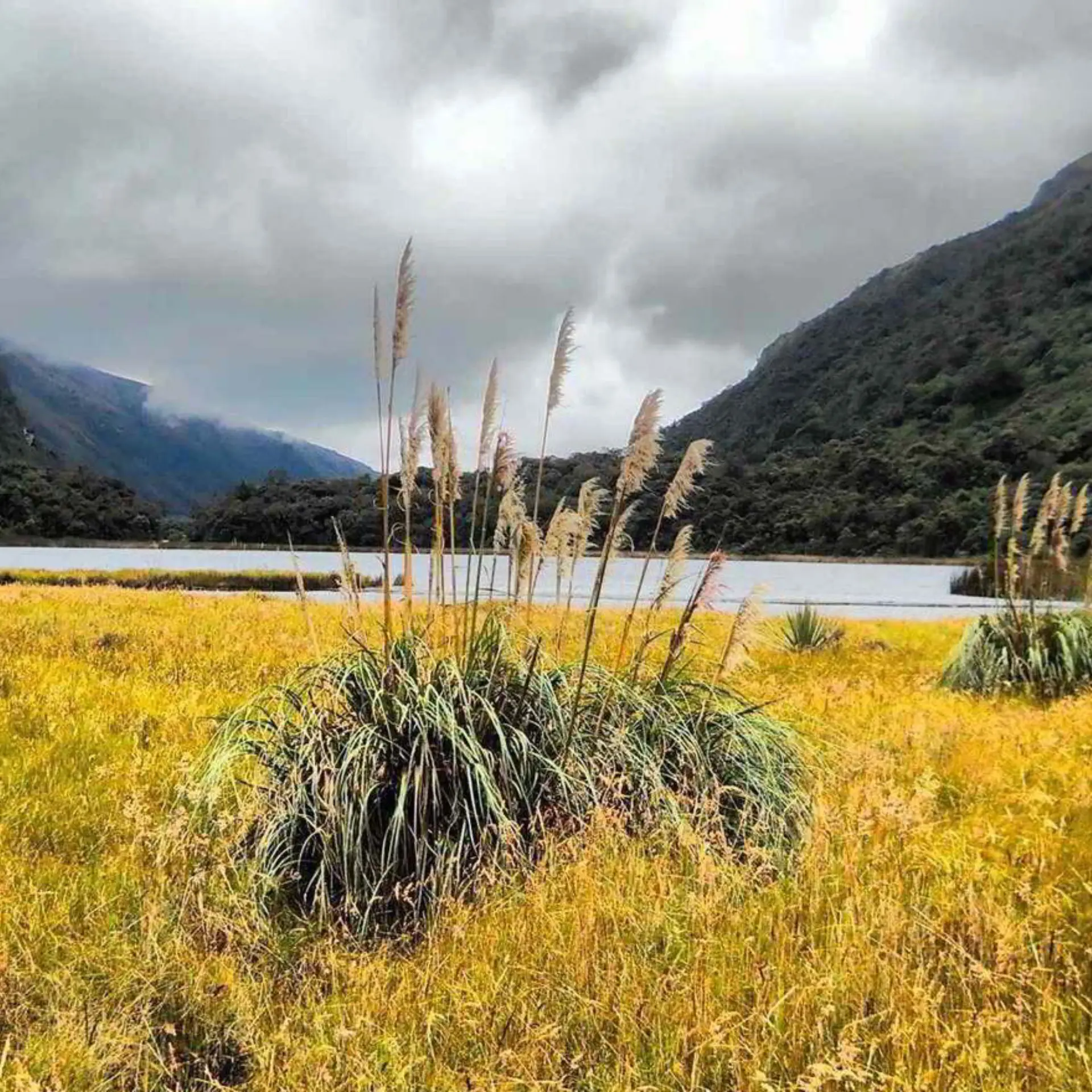 Cajas andes mountain range