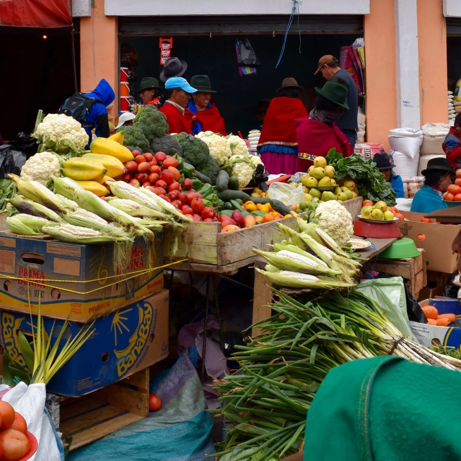 Ariens ecuador guamote 1