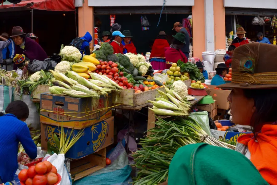 Ariens ecuador guamote 1