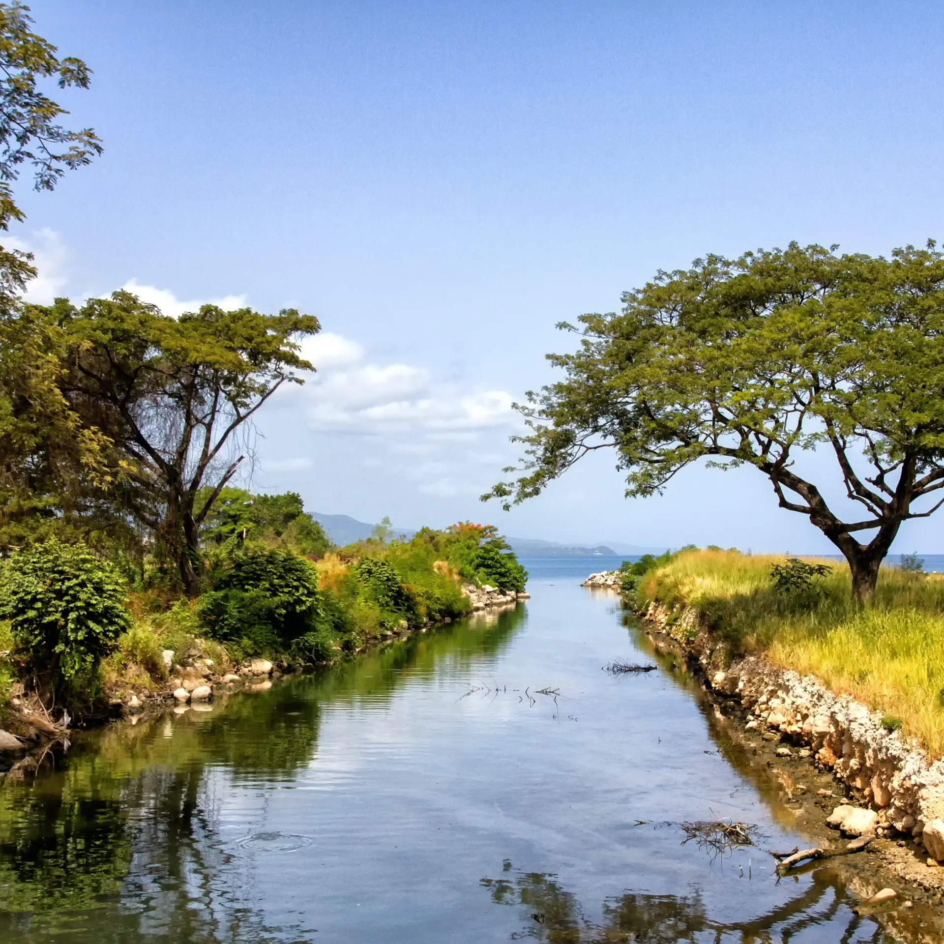 Jamaica landschap
