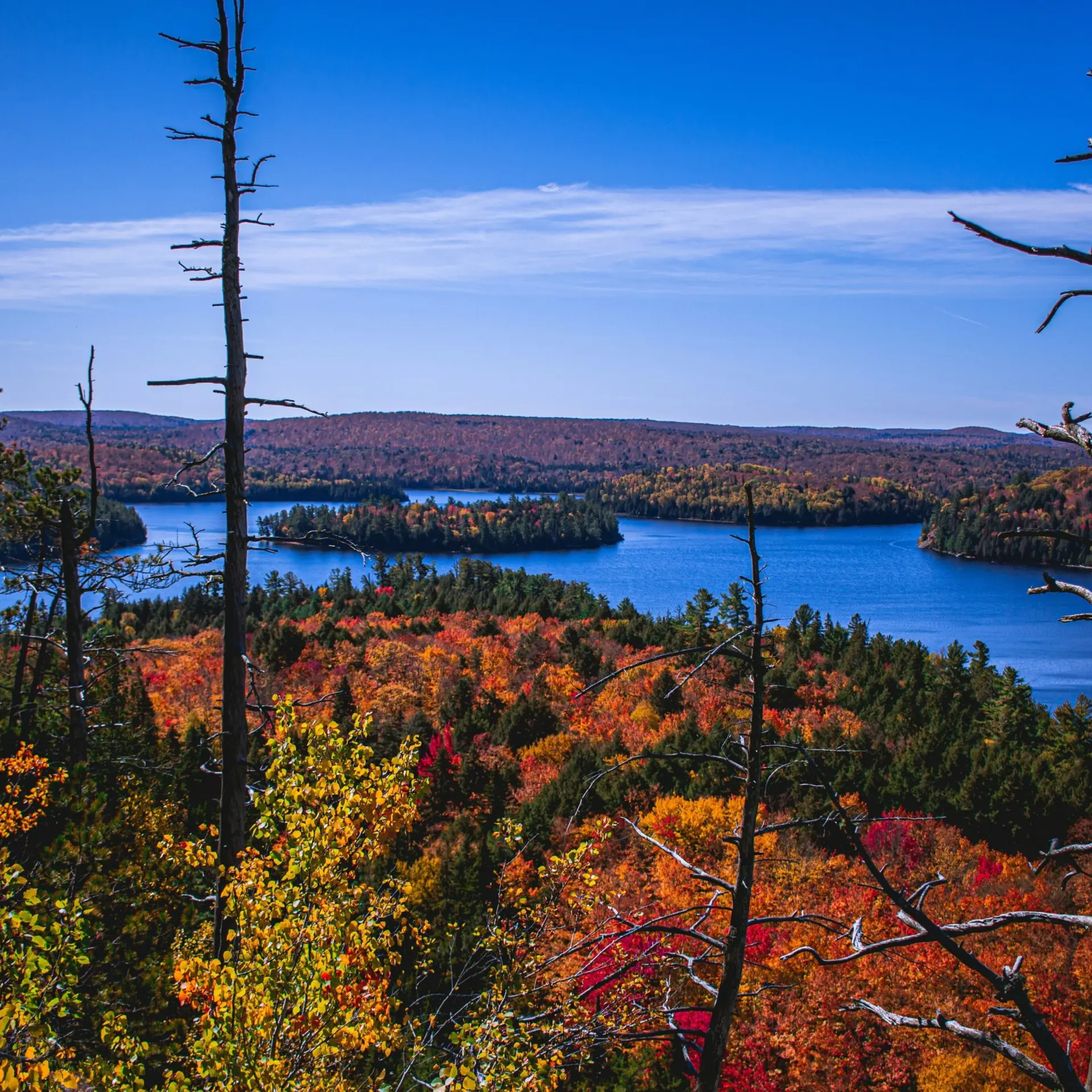 Dylan mcleod gwq8n9lsxsu unsplash