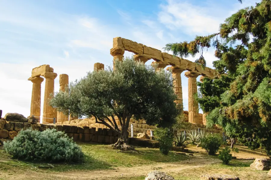 Casey lovegrove qjdl3evuz3o unsplash1