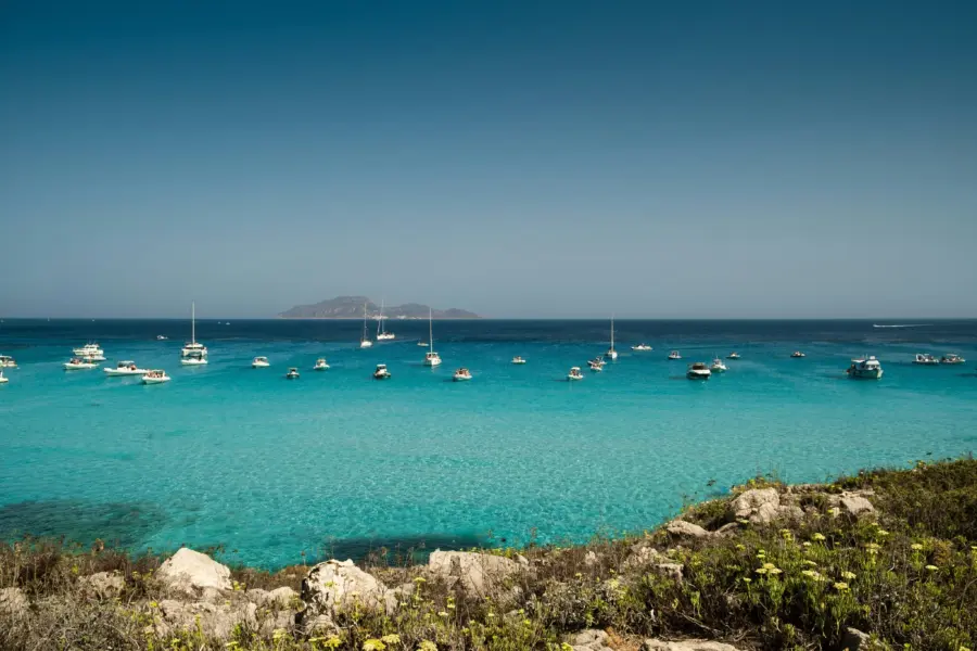 Marcreation 1udjlhrnp9c unsplash