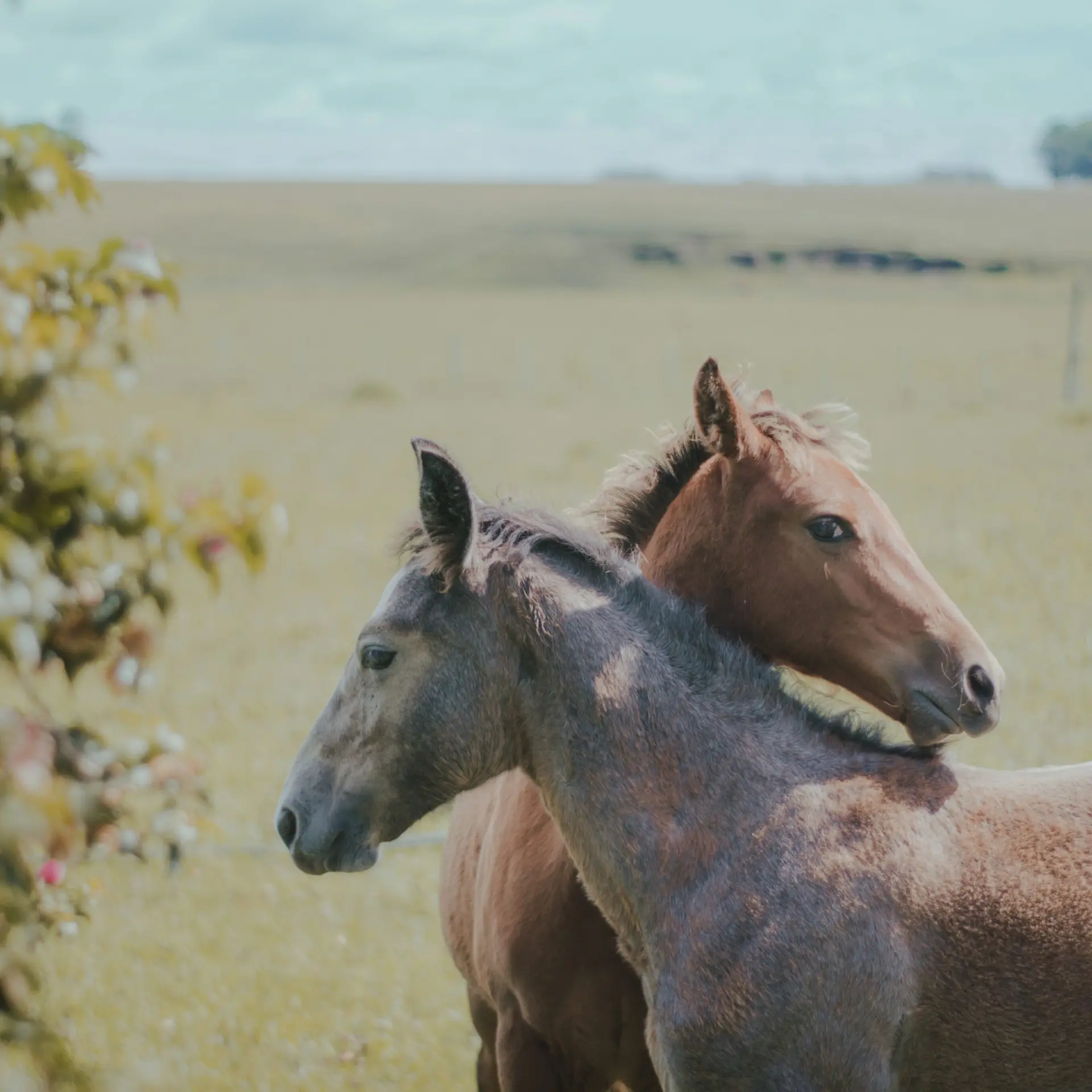 Gonzalo facello 52 P9 R 6lil M unsplash