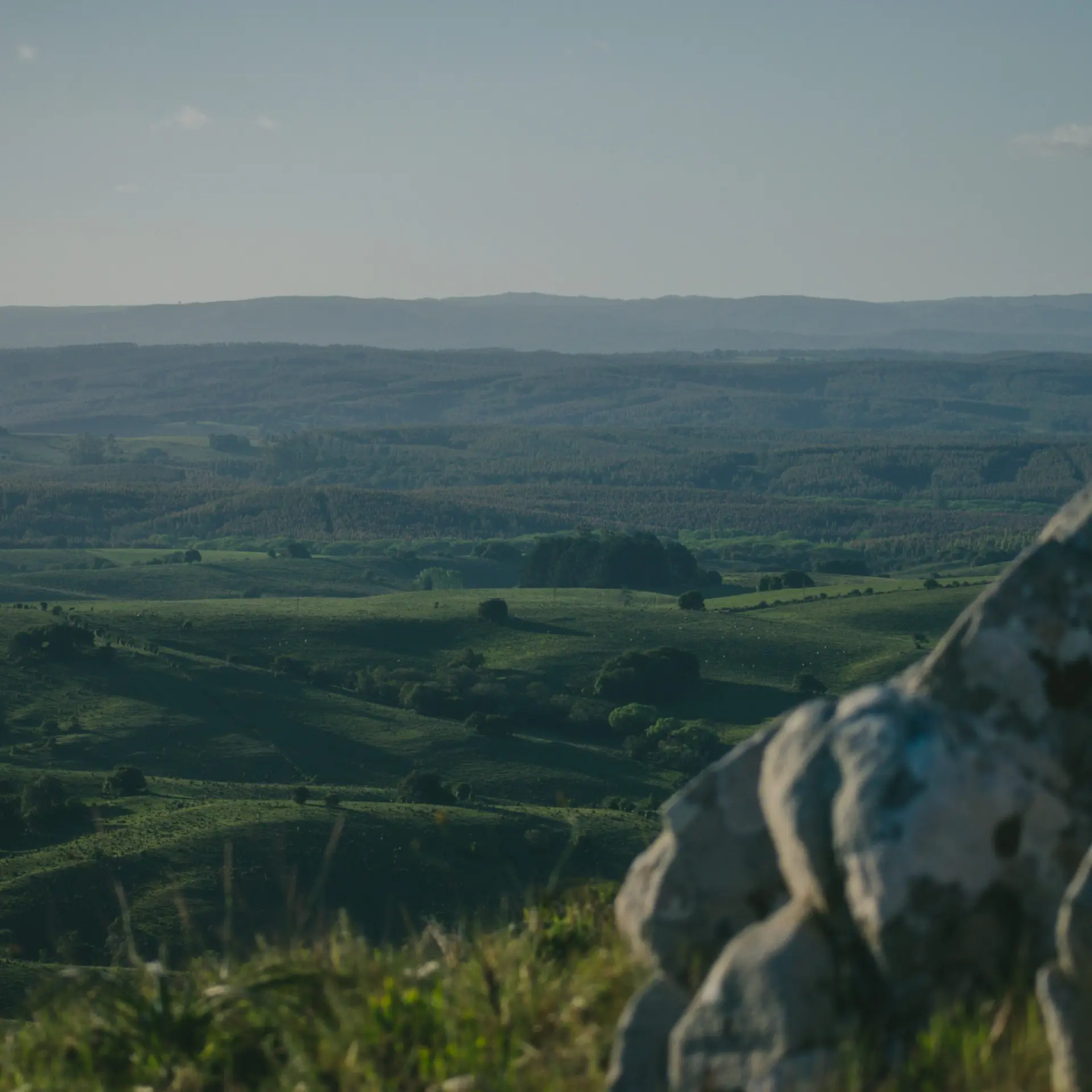 Diego rivero g Fe X7 QXMM Sw unsplash