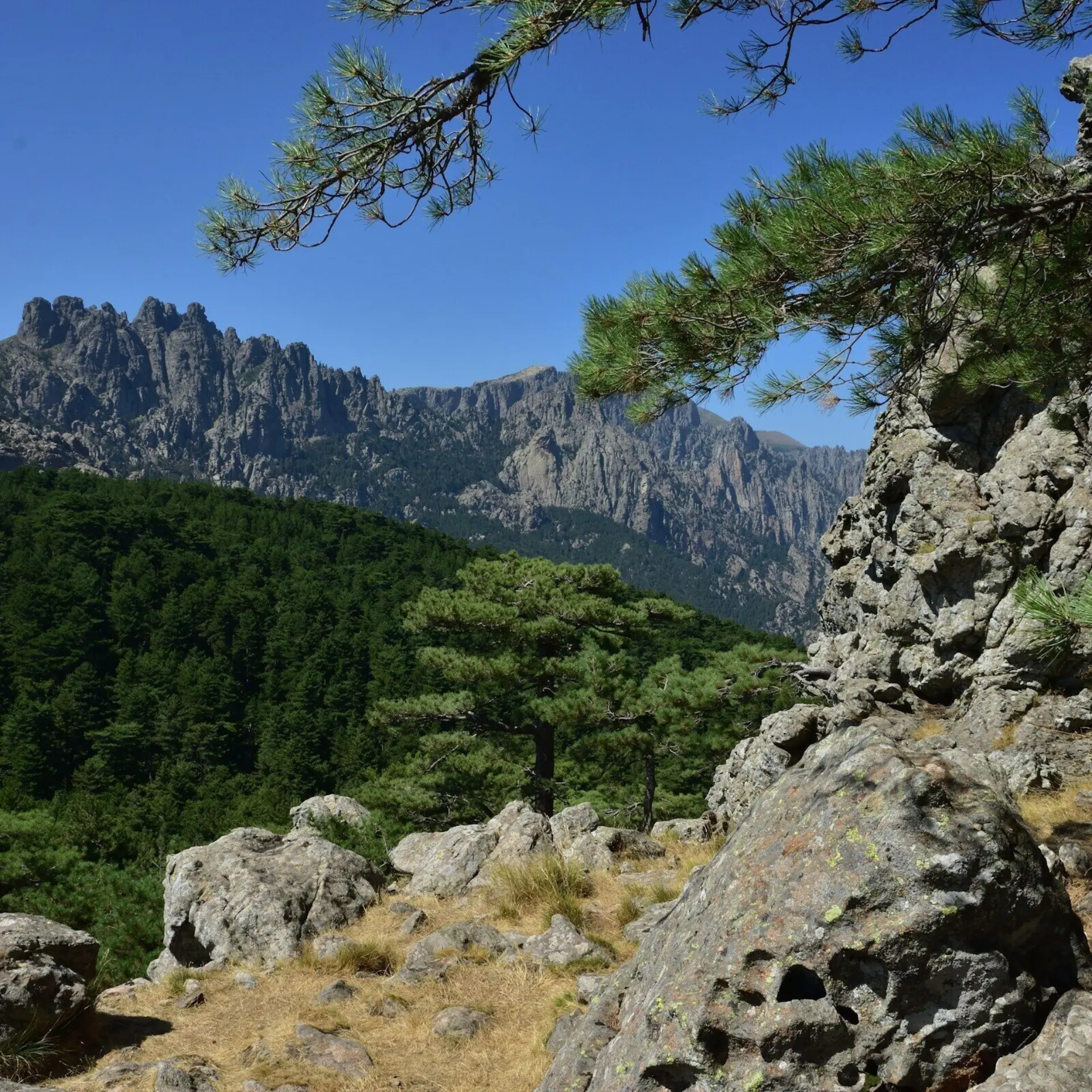 1772466021075bertrand borie spcqcyzmsgy unsplash