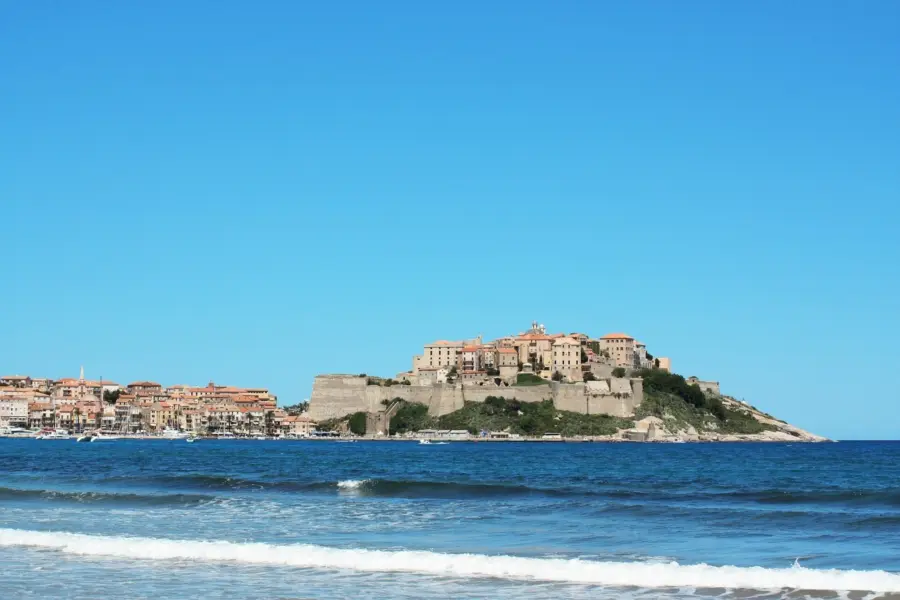 Calvi
