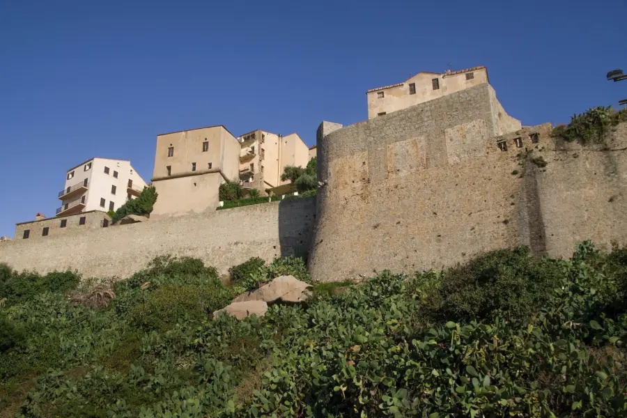 Calvi 2