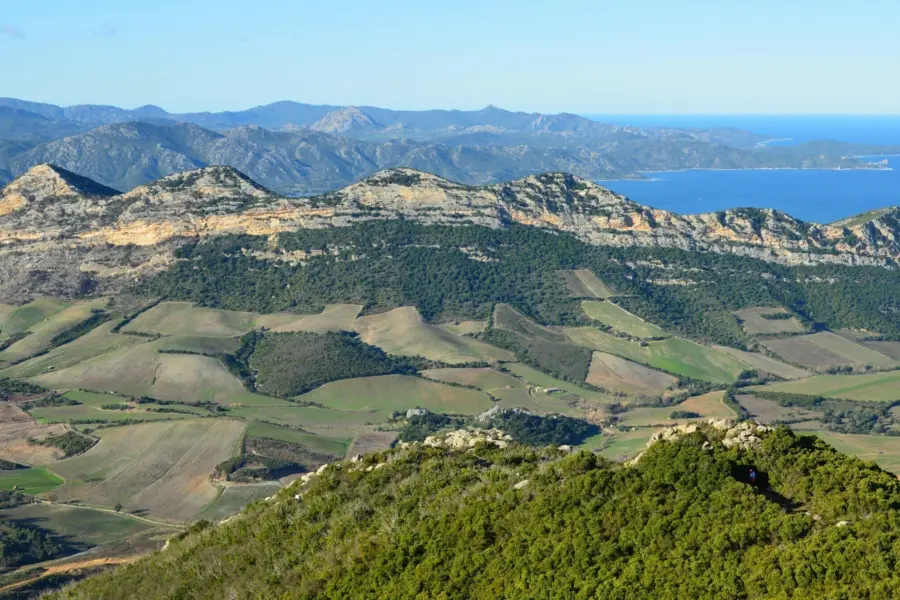 Slim mars z4k22crrgag unsplash