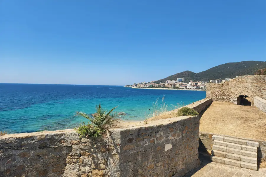 Jon amdall zik 1utnbj4 unsplash