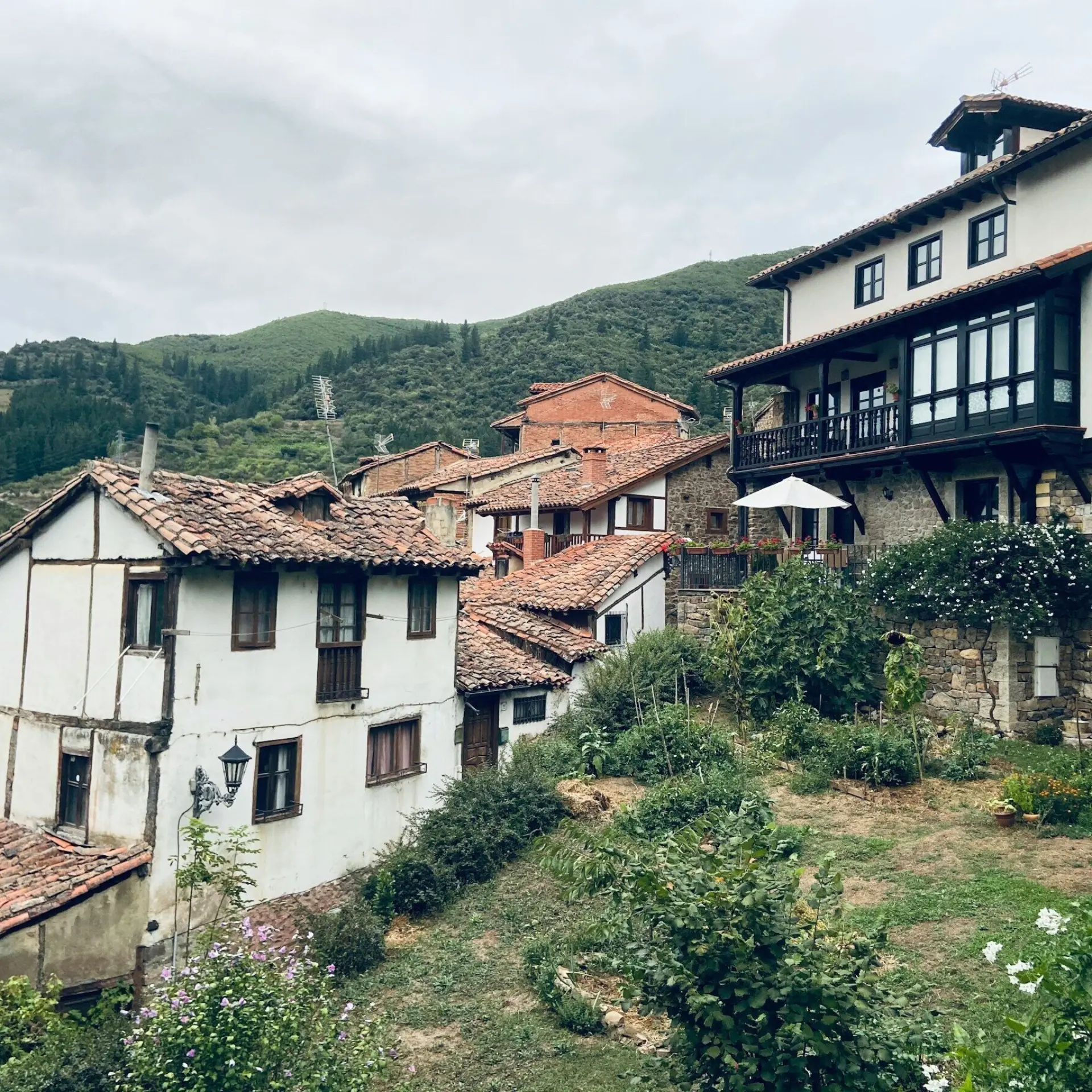 Pedro garcia k2cfy6fafhs unsplash