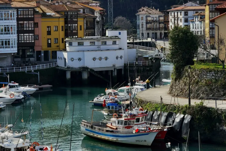 Vladan raznatovic 8tupagnvzo4 unsplash