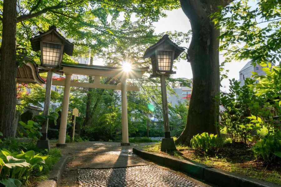 Steven chua pjvwh5m2vik unsplash