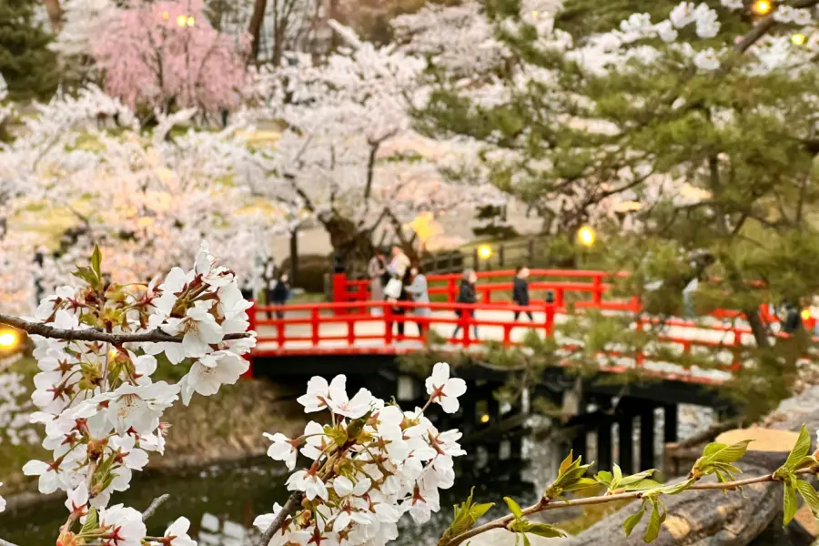 Manato kudo odt7rhub7gi unsplash