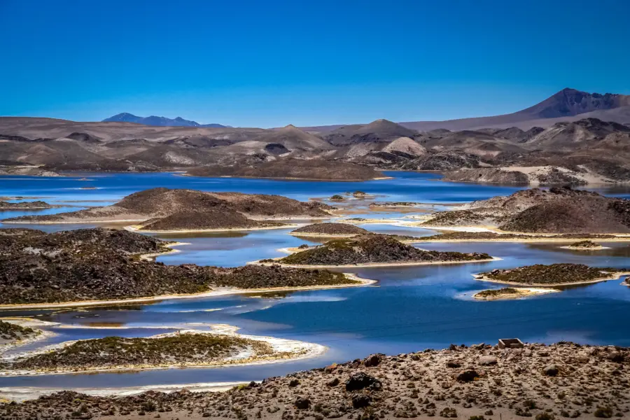 Laguna cotatotani in lauca national park