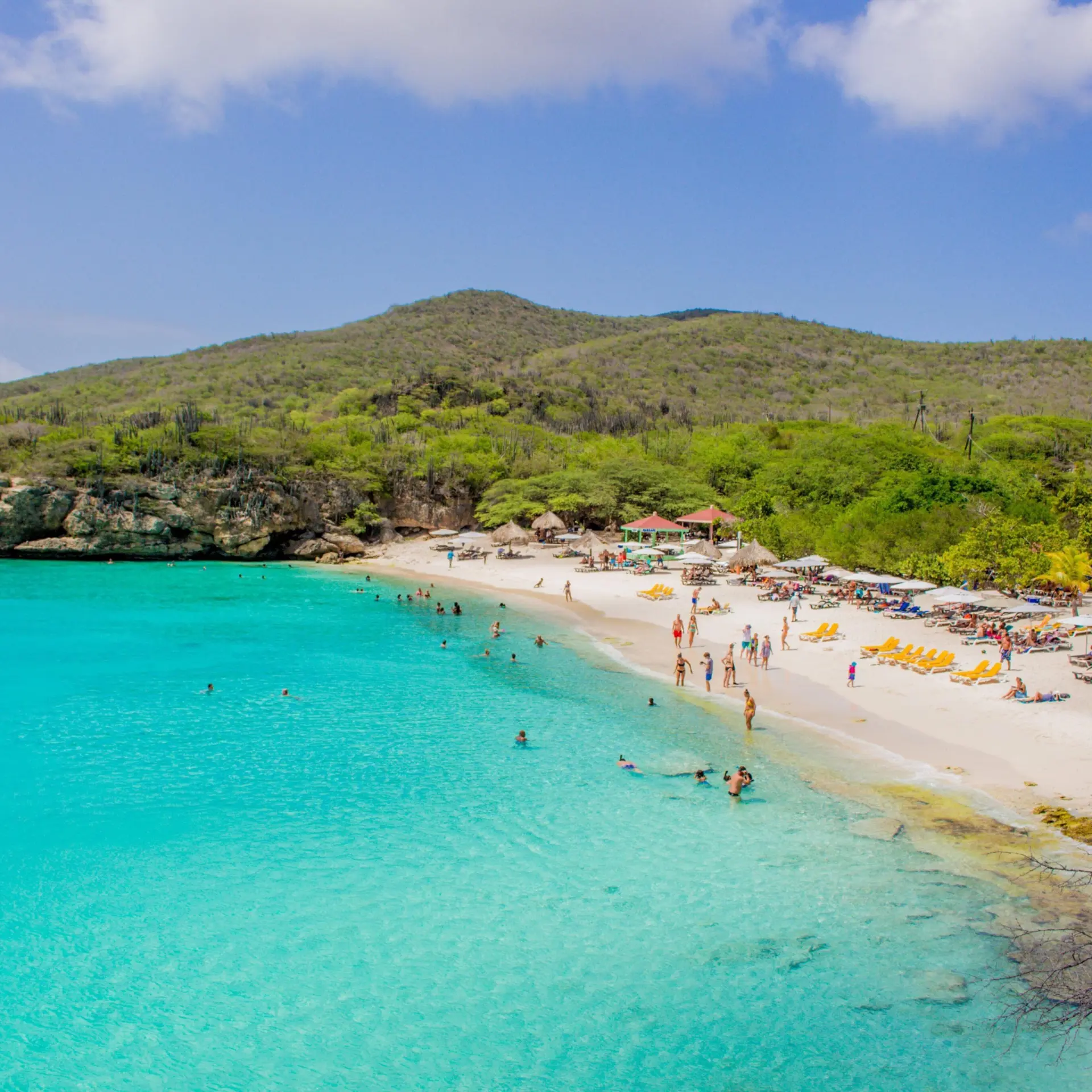 Grote Knip