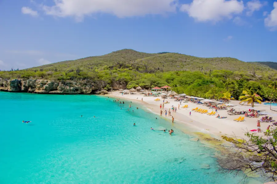 Grote Knip