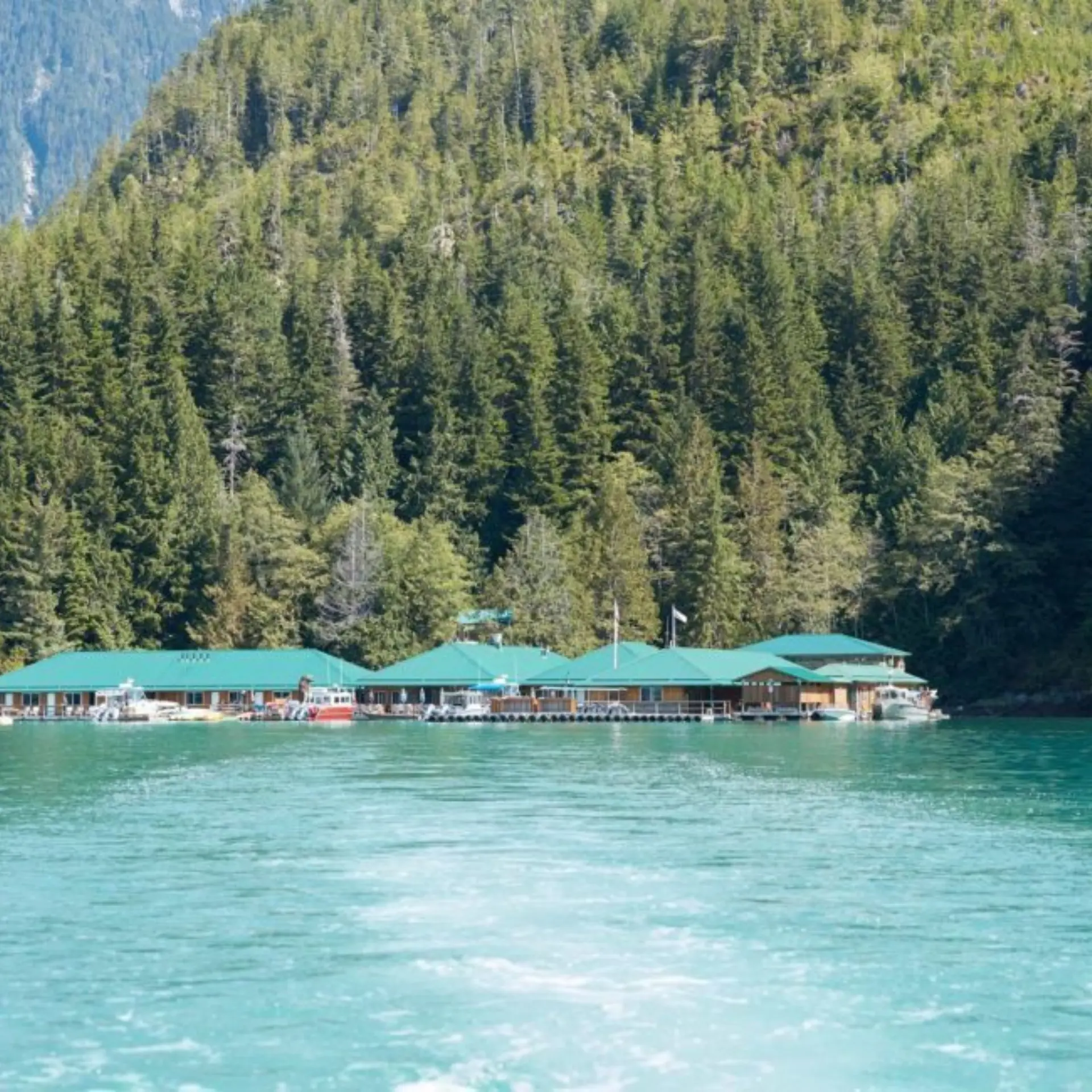 Knight inlet lodge 5