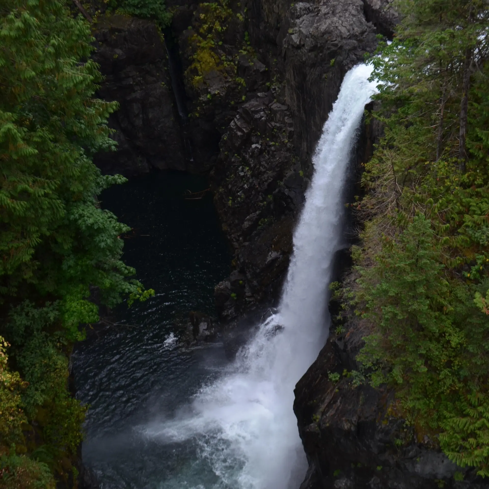 Ariana kaminski oe8trs4l vy unsplash