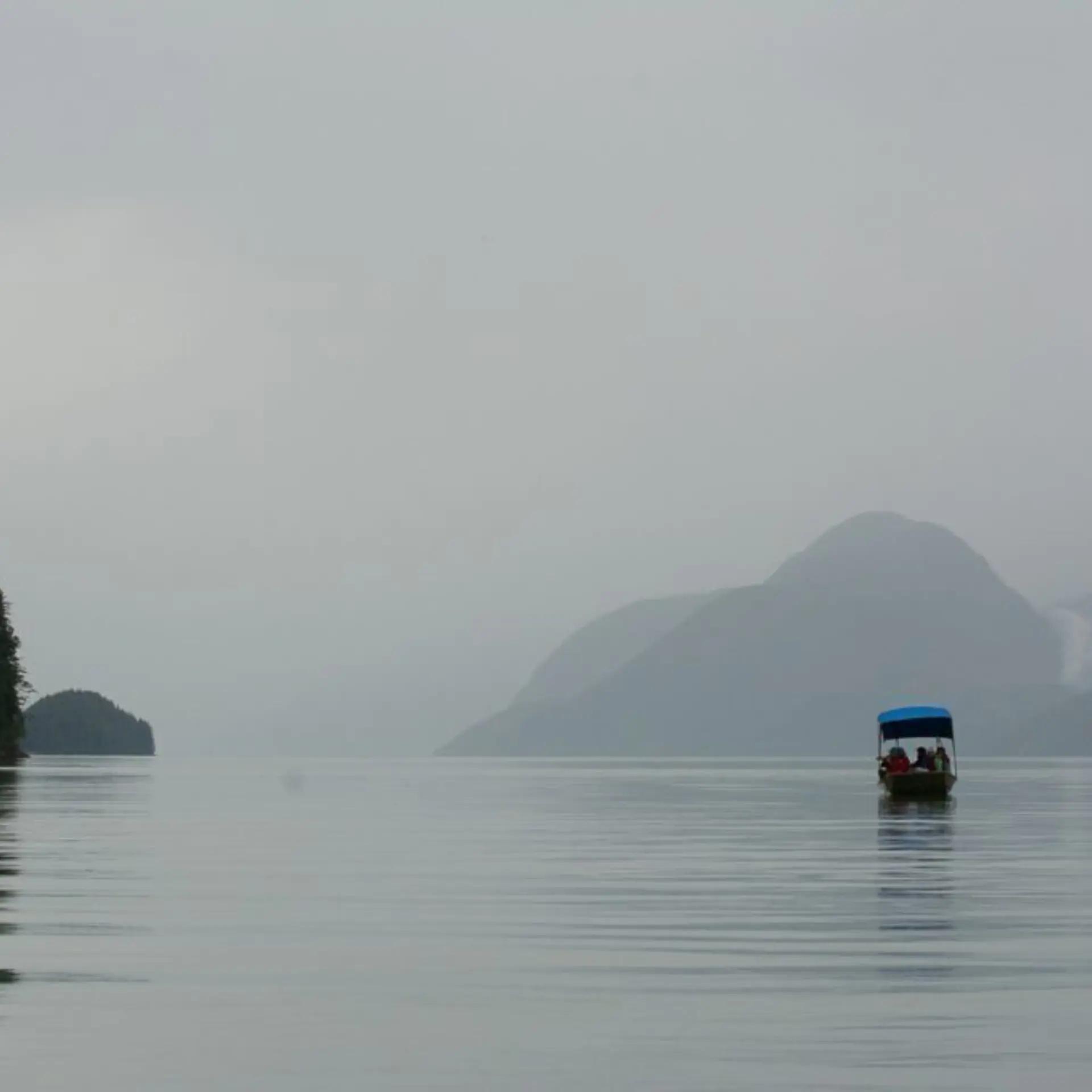 Knight inlet lodge 12