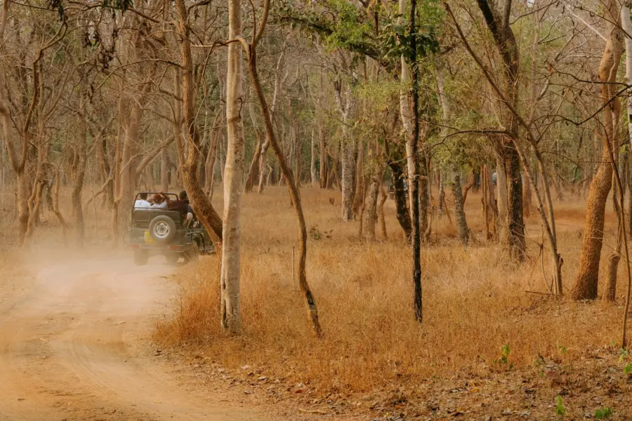 Danish puri ne6wl6hvdyc unsplash