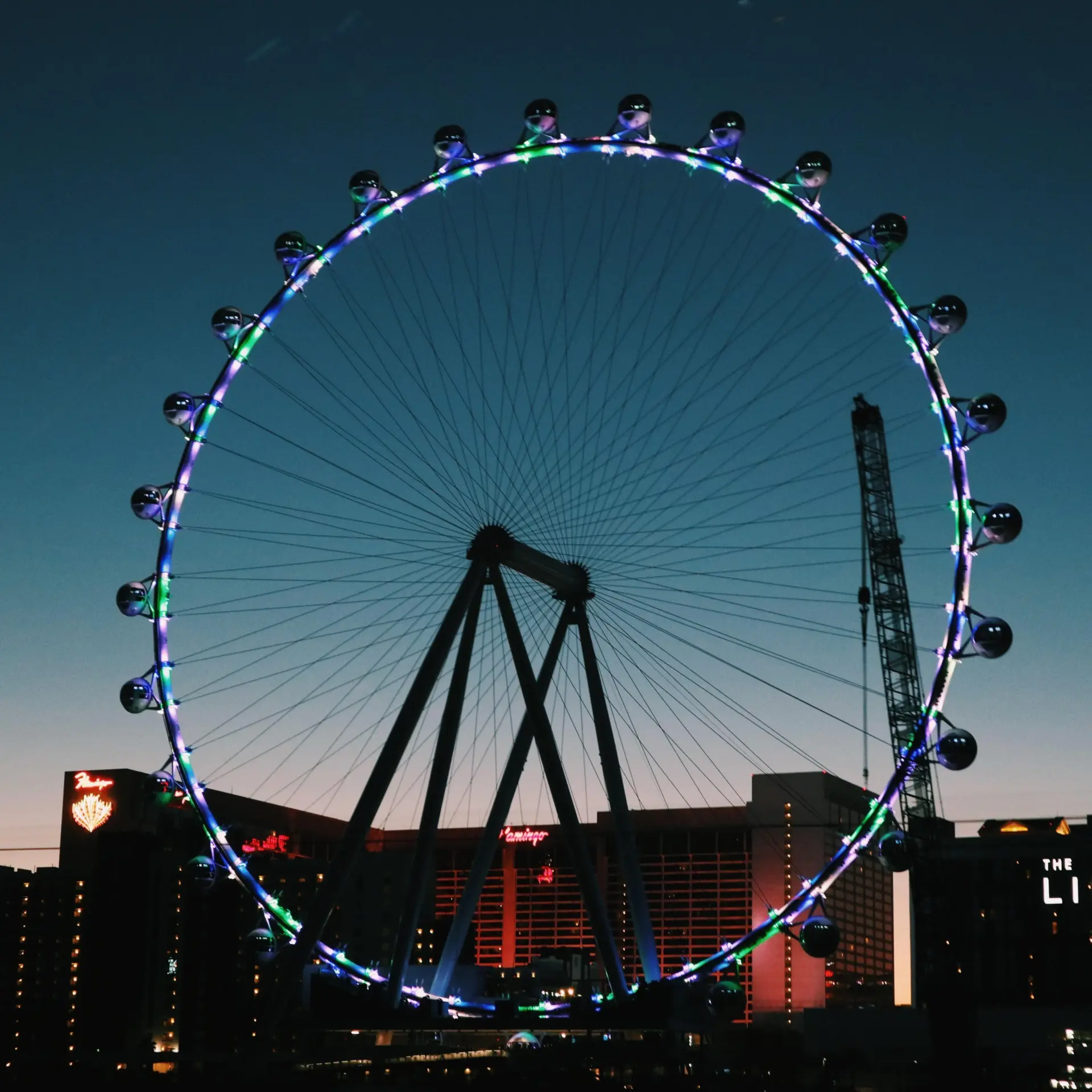 Saira tja cuoamc0 unsplash