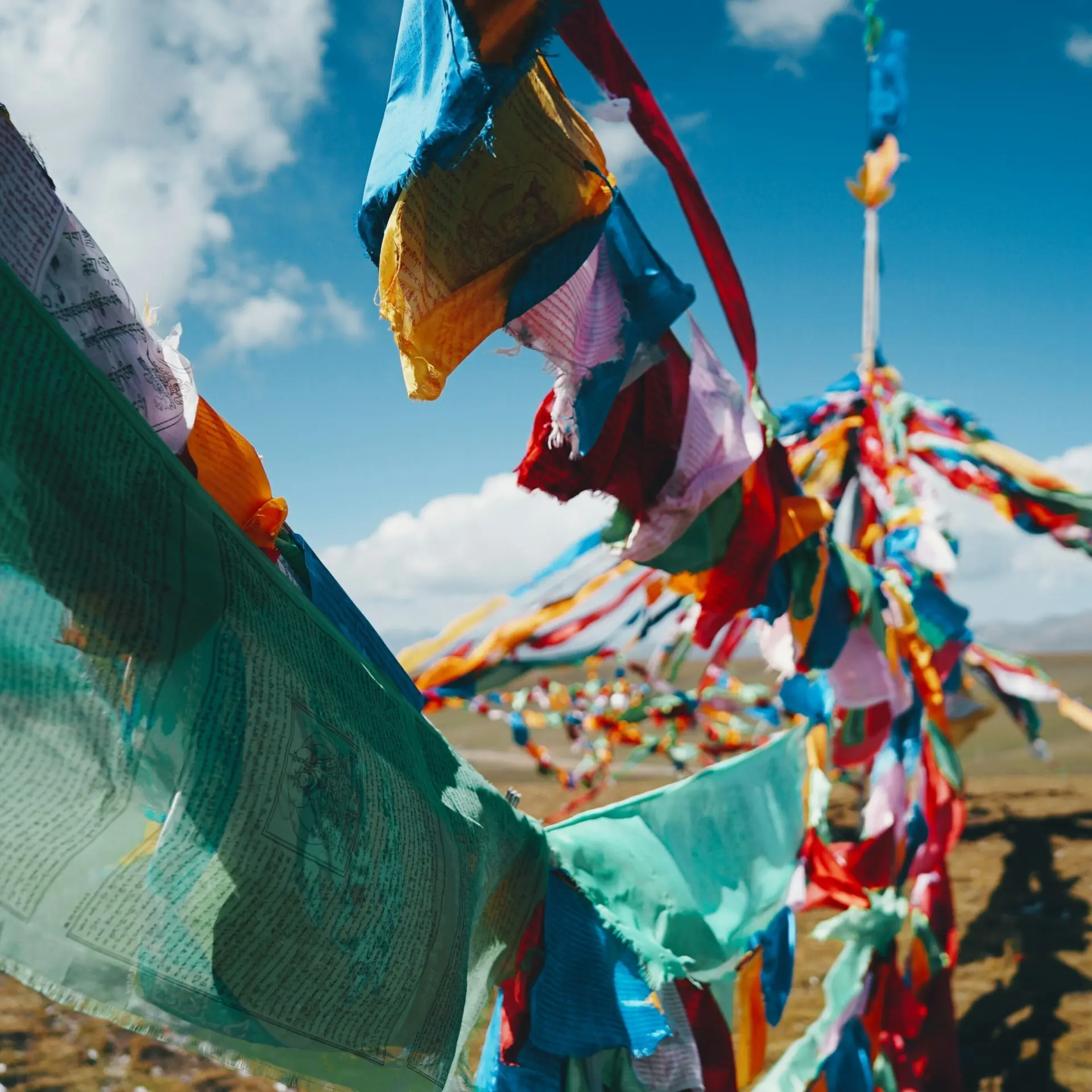 Steve long nekj44vmt5g unsplash