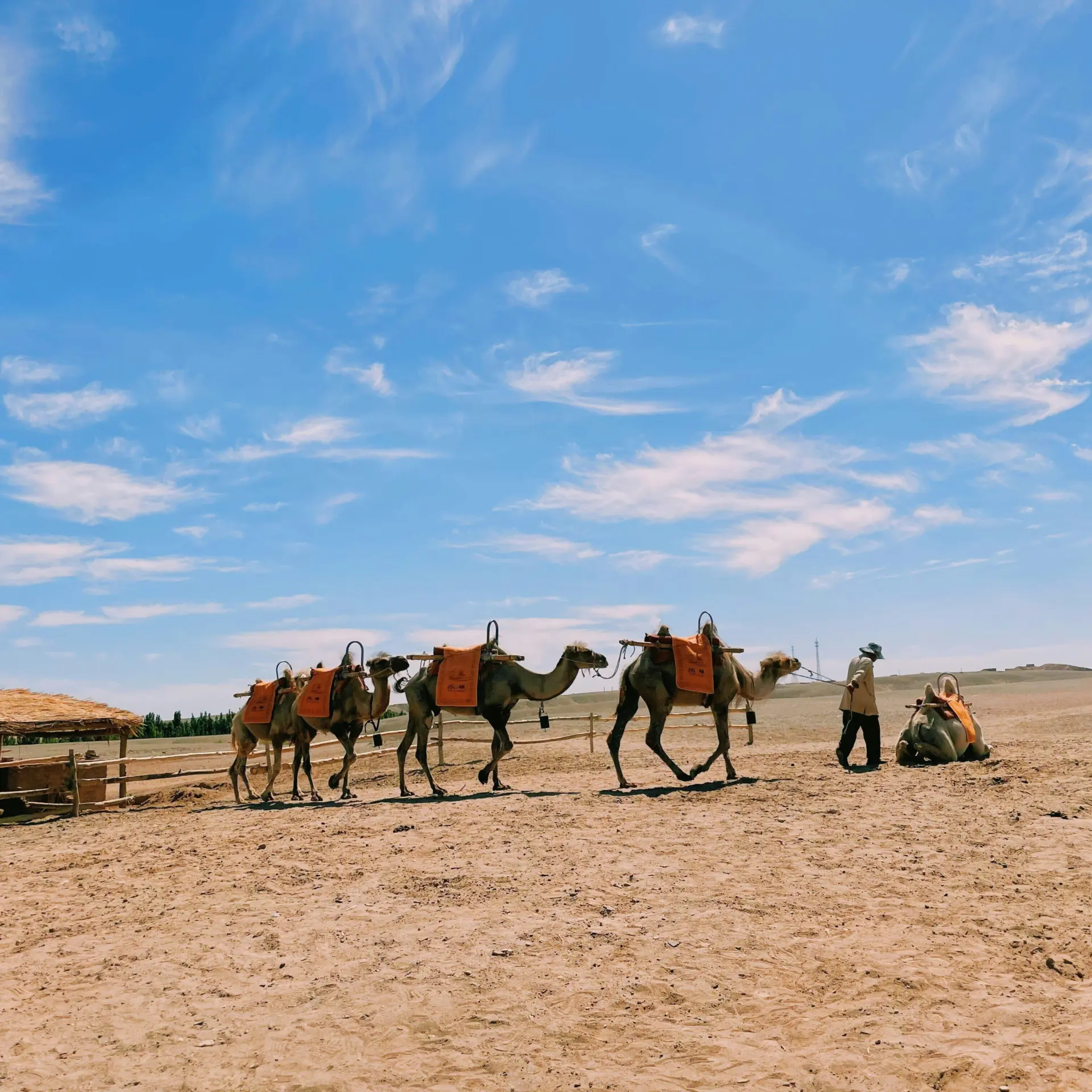 Chantal vtb0ustlvr4 unsplash