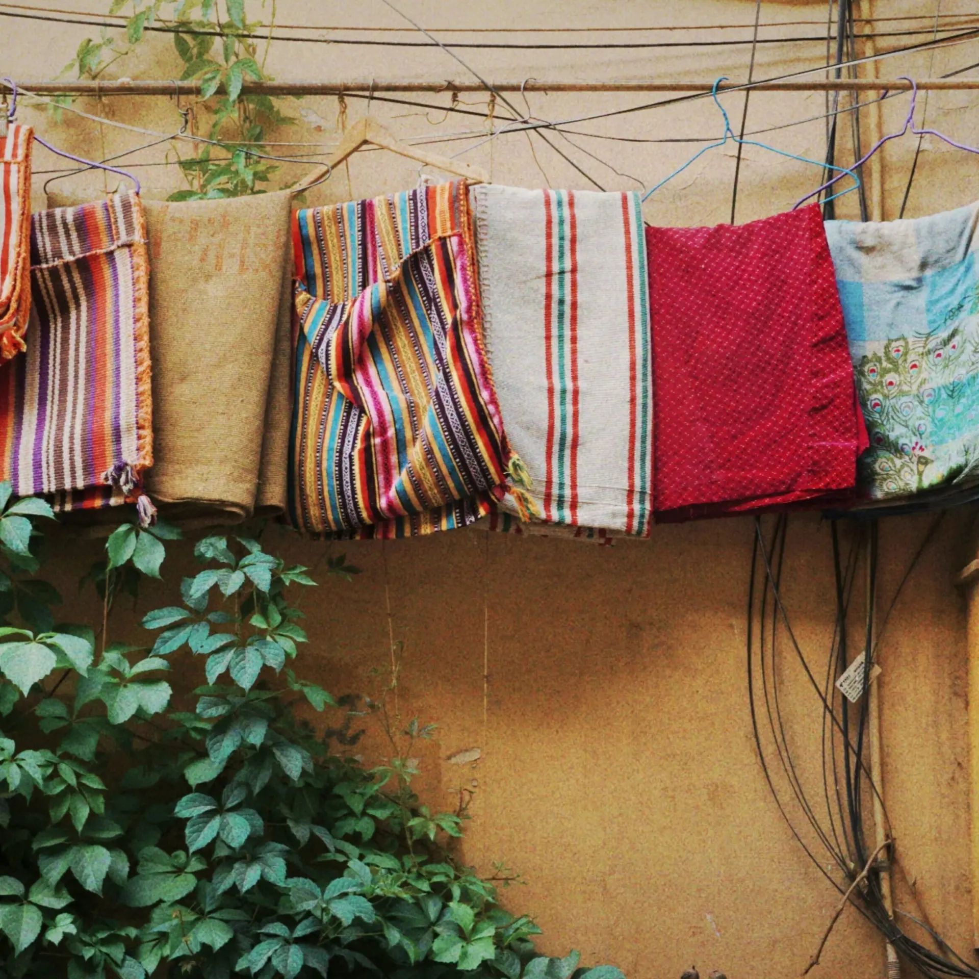 Yidai song r35dnk8uzo unsplash