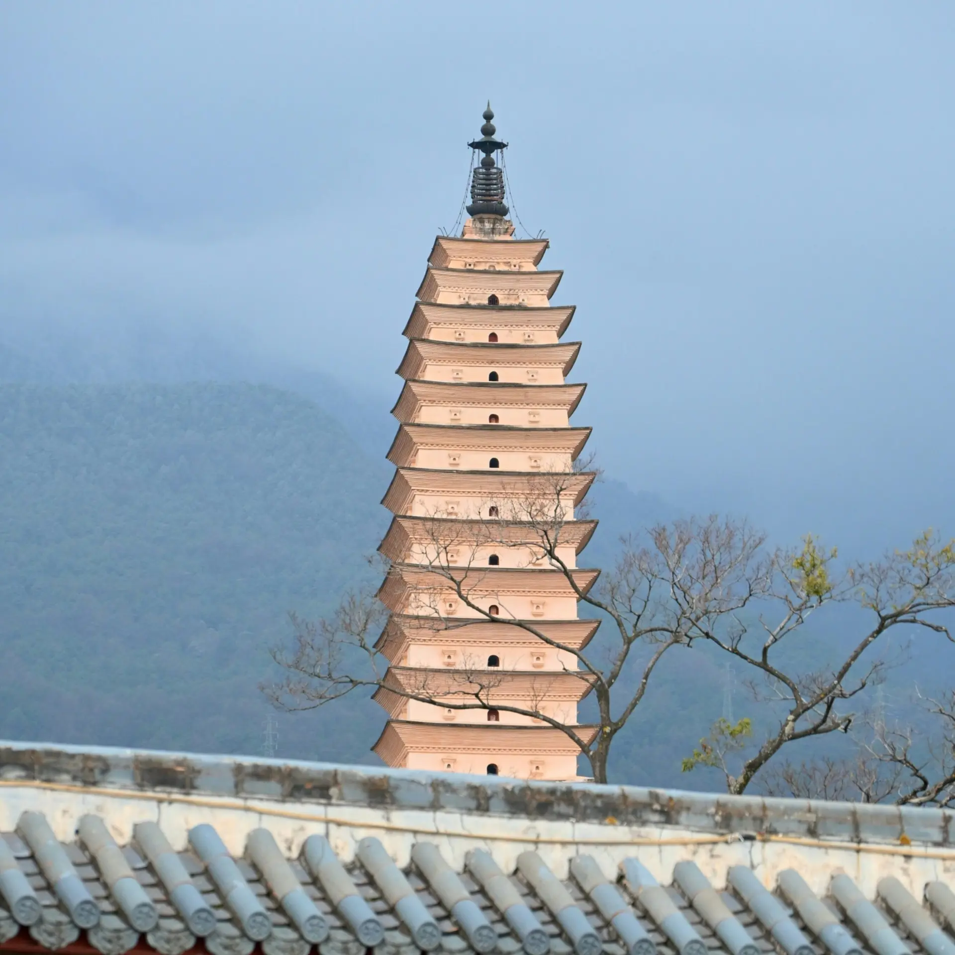 Chawy xu9tikdcvfo unsplash