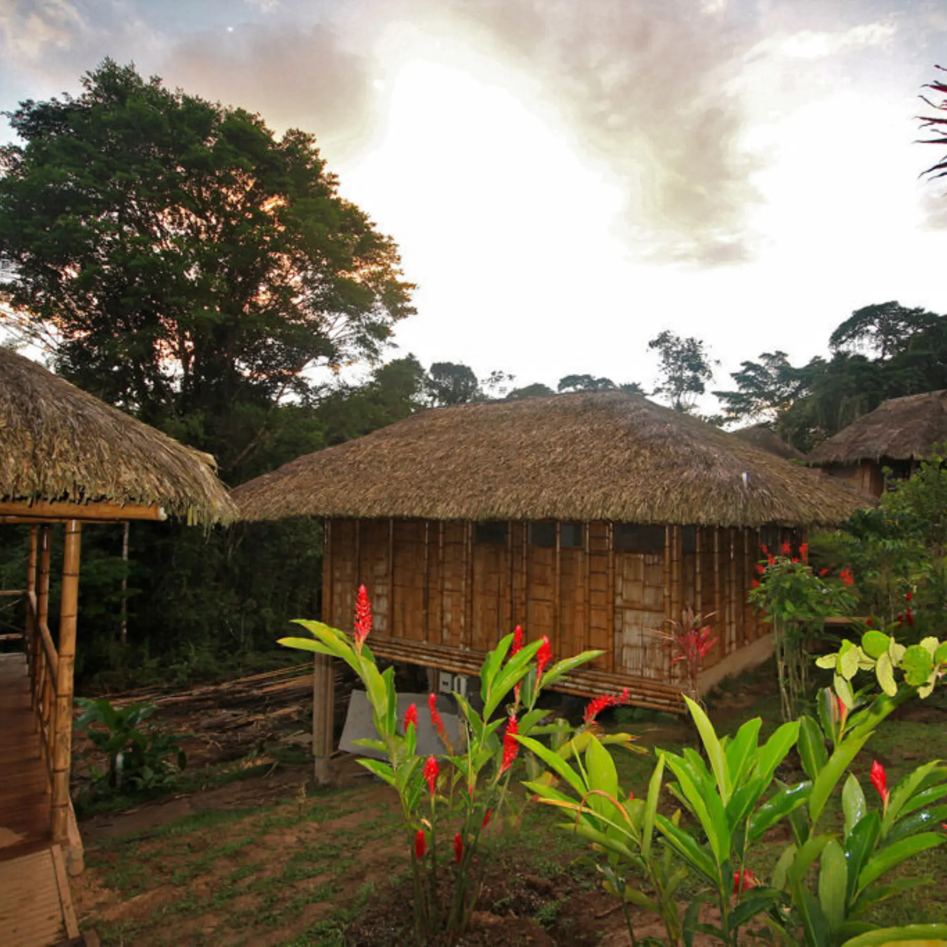La selva lodge cabins