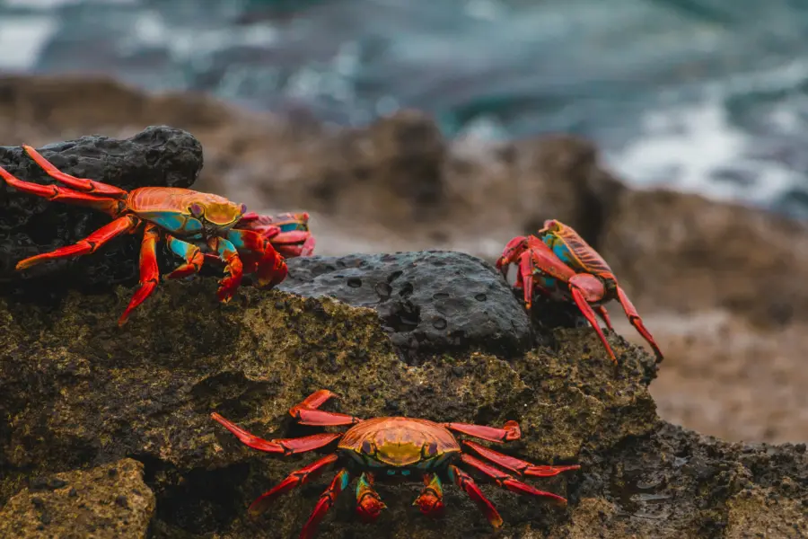 Amy perez en24lvcahw0 unsplash1