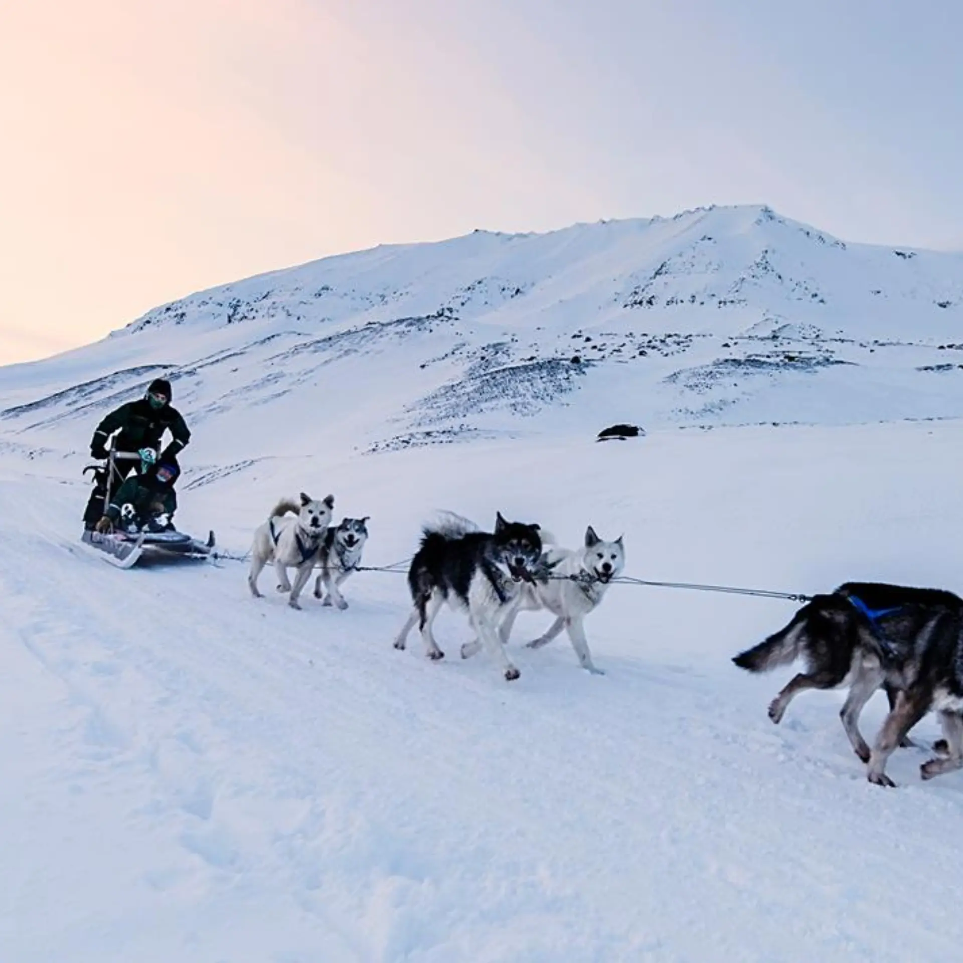 1776090935071ihba46e39dcd564c2dae2a3ded8b435c6c8249f263