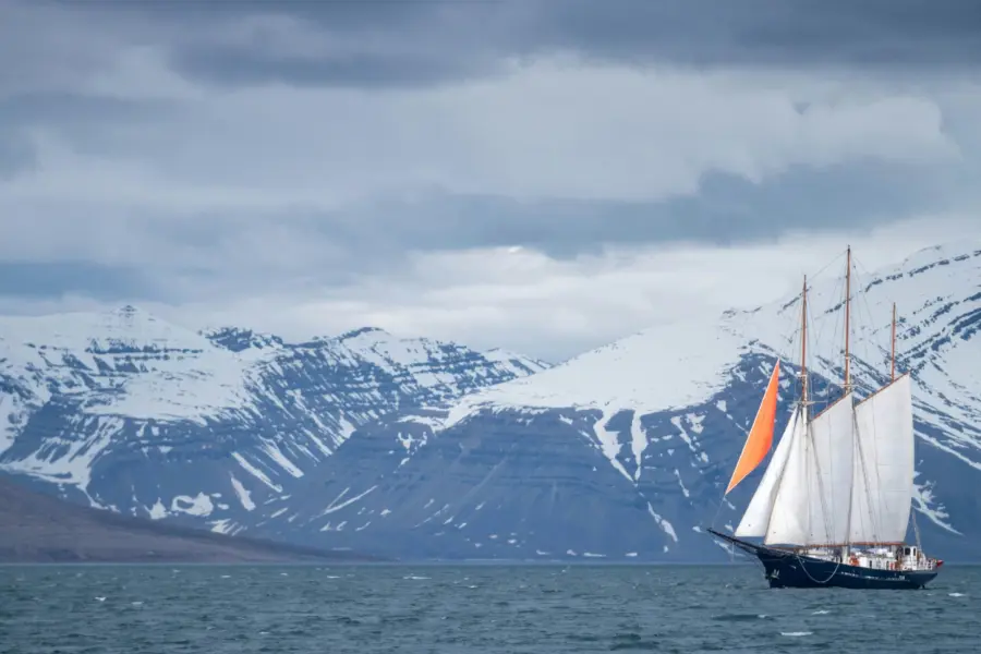 Kiril dobrev ikuvewzhxg unsplash