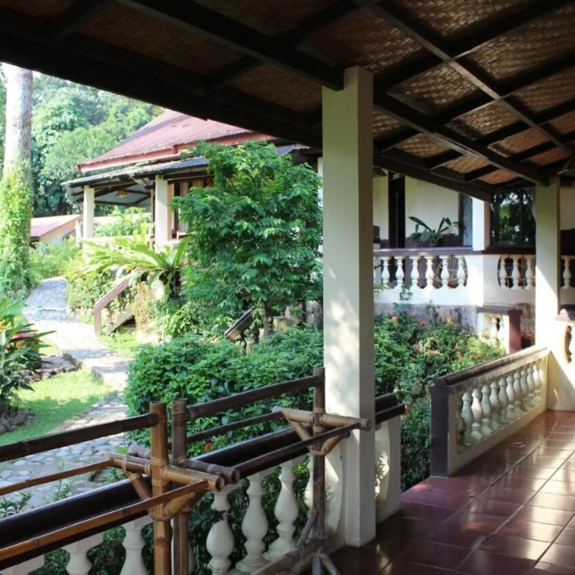 Ecolodge bukit lawang 6
