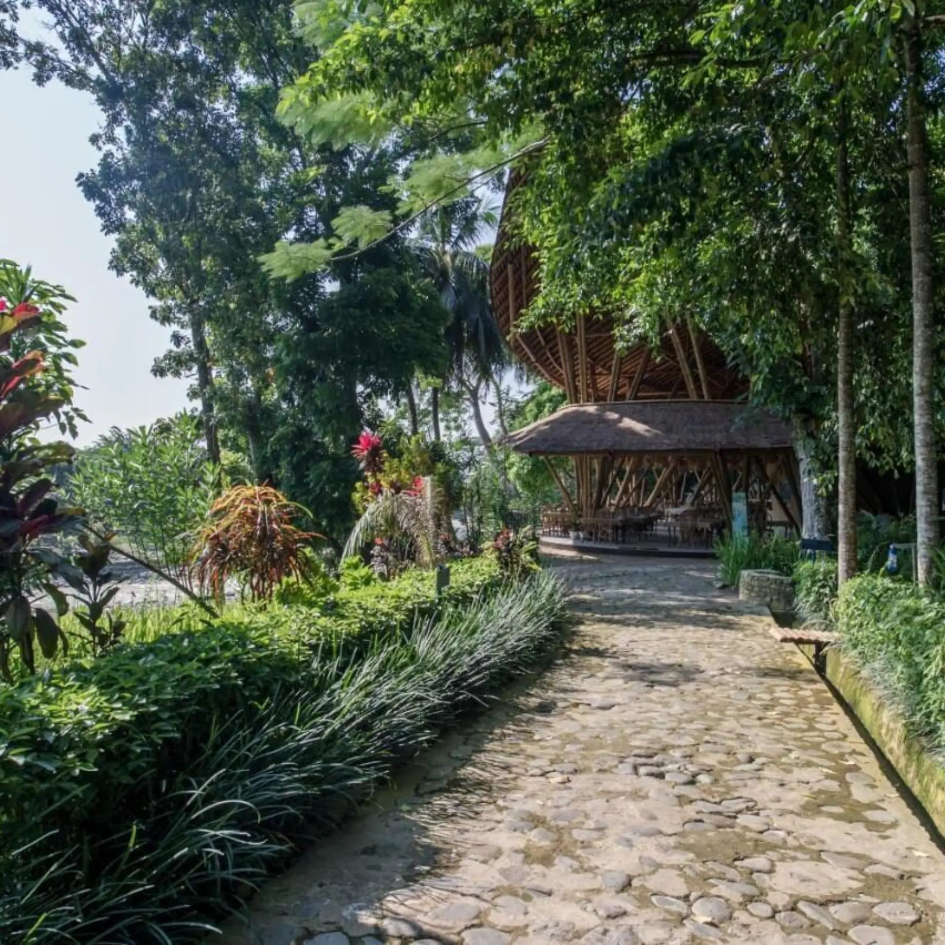 Ecolodge bukit lawang 4