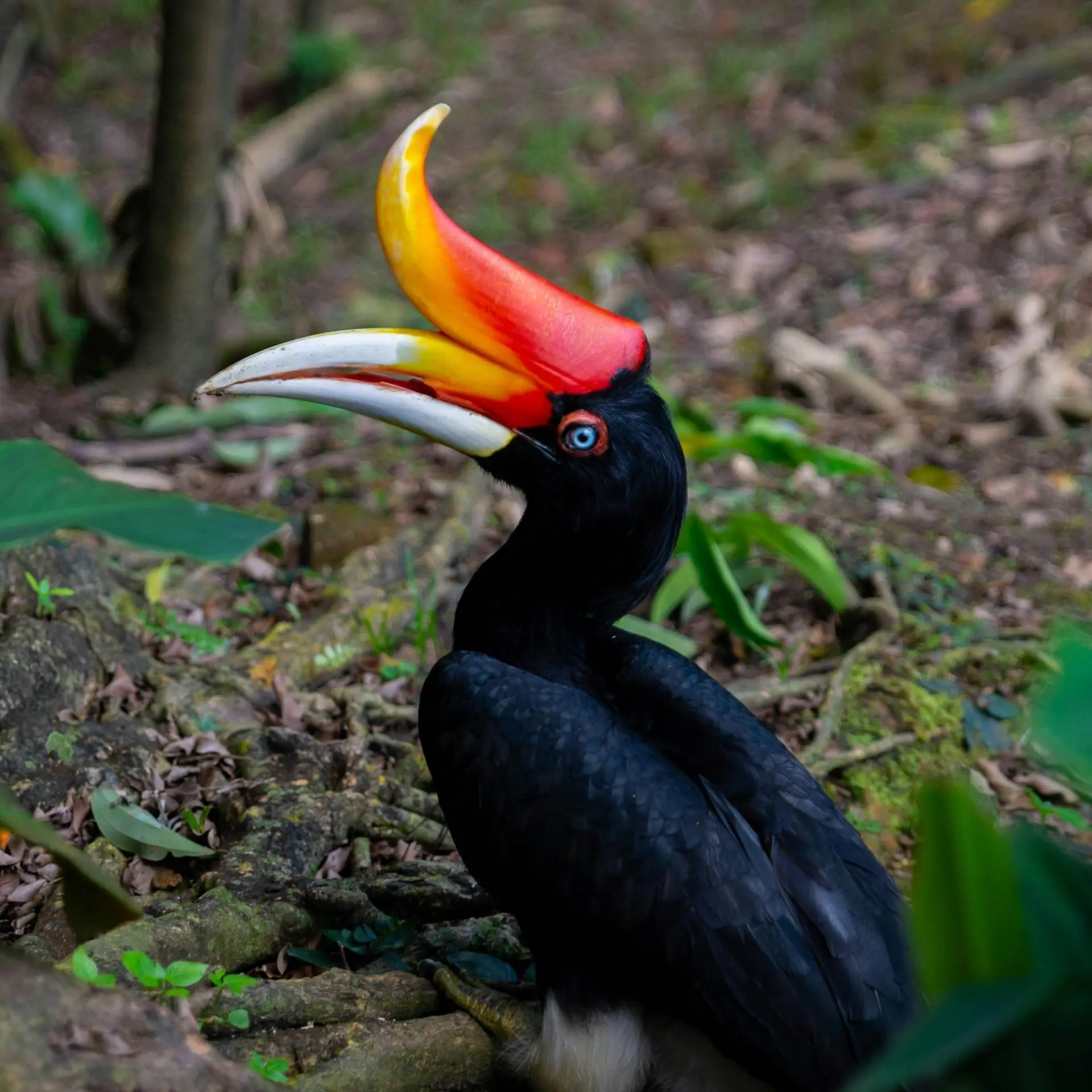 1761732138306mehdi ben lsjb1r37mnu unsplash