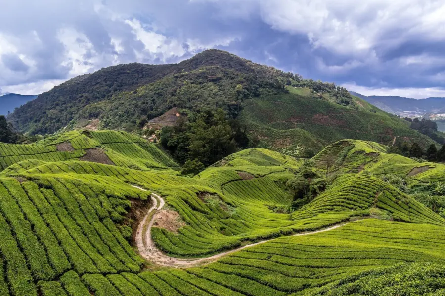 Malaysia g98c7563b9 1920