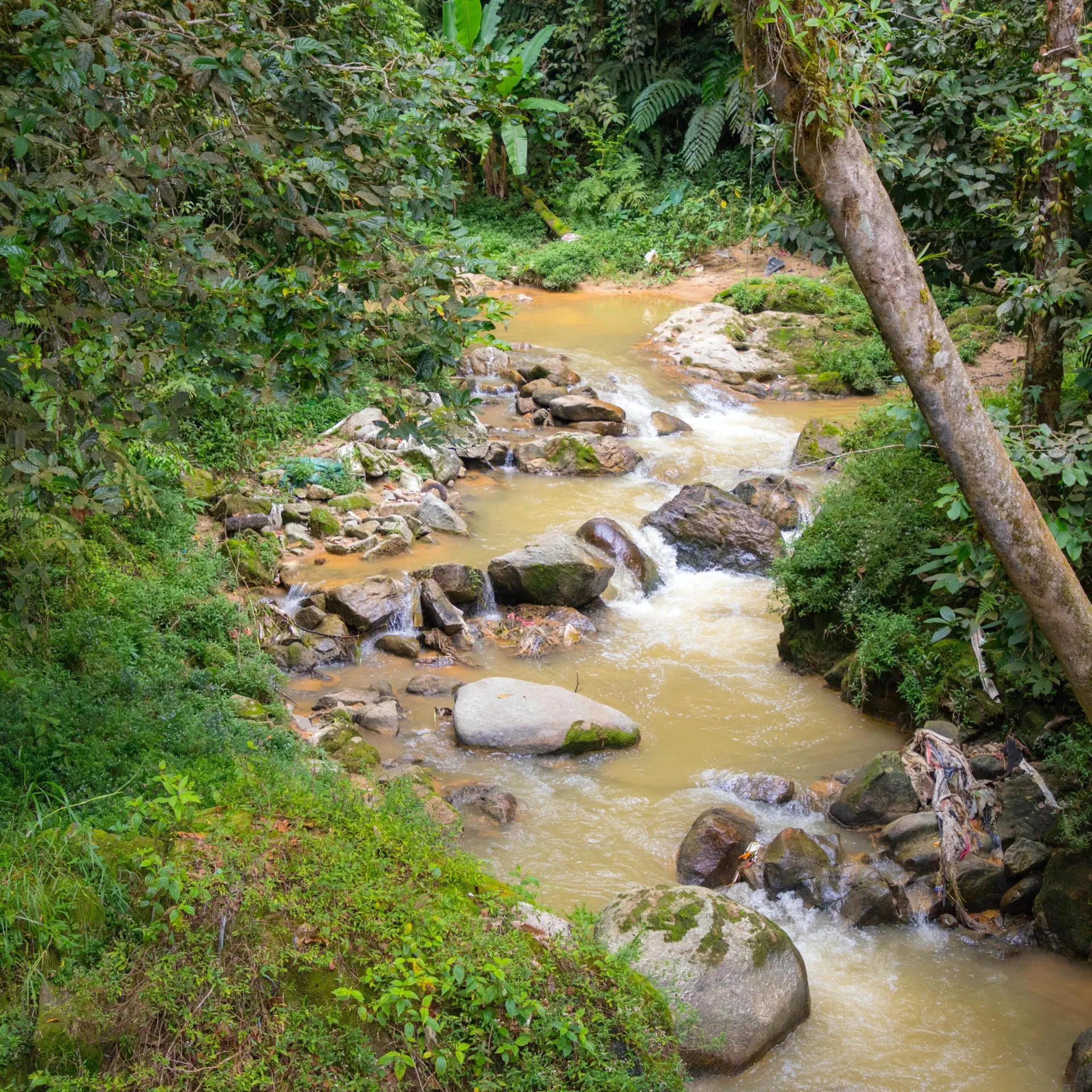 Abdelrahman ismail 4lot1dp lqy unsplash