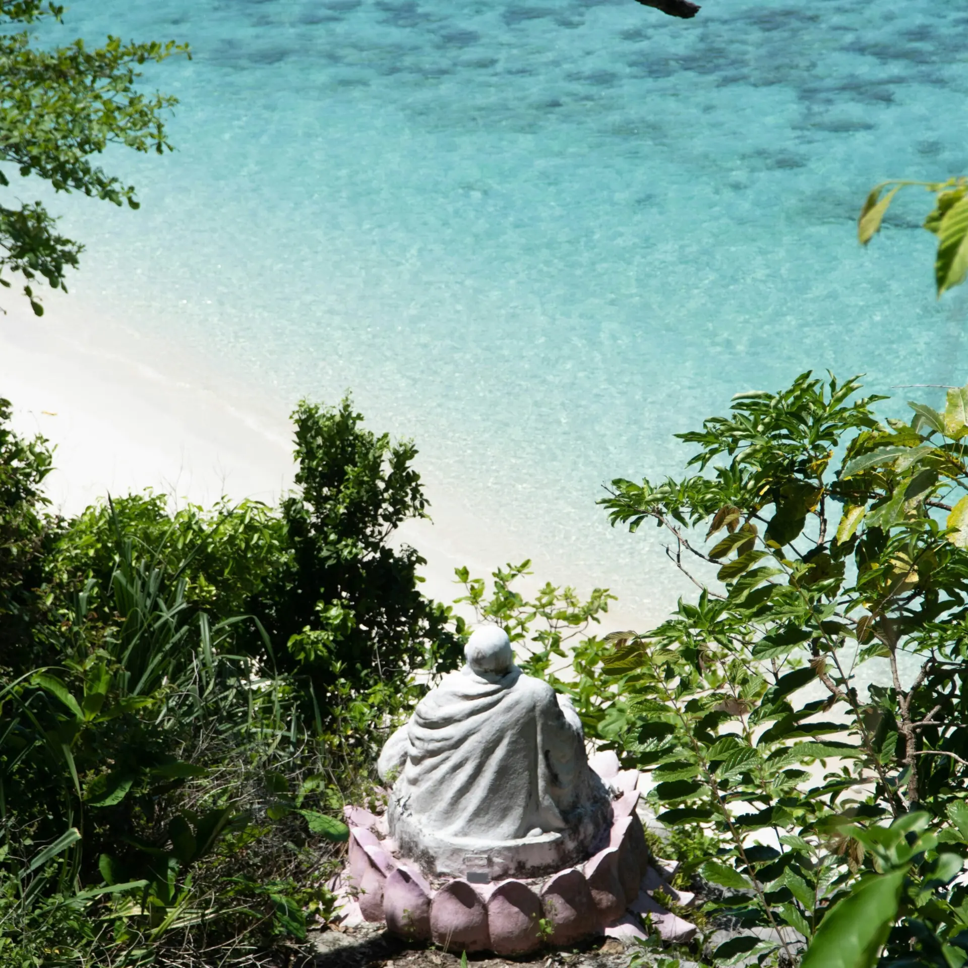 Irfan syahmi 988uws1ln0 unsplash