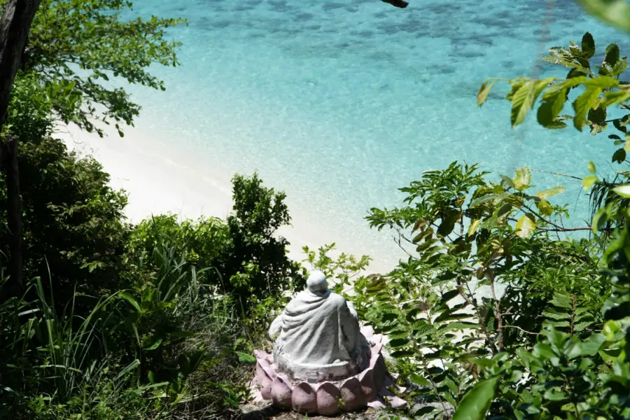 Irfan syahmi 988uws1ln0 unsplash