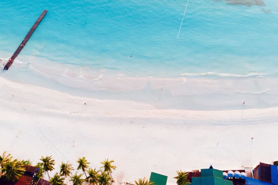 Zachary black nzyrszazyla unsplash